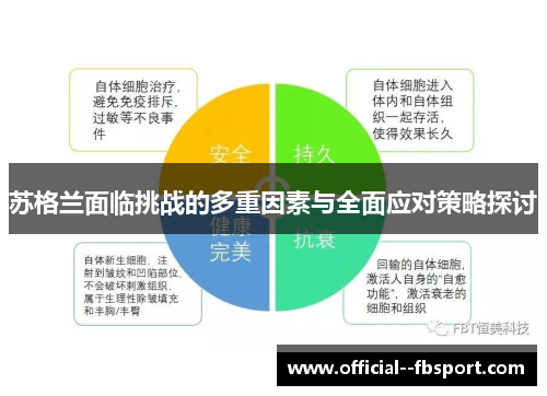 苏格兰面临挑战的多重因素与全面应对策略探讨